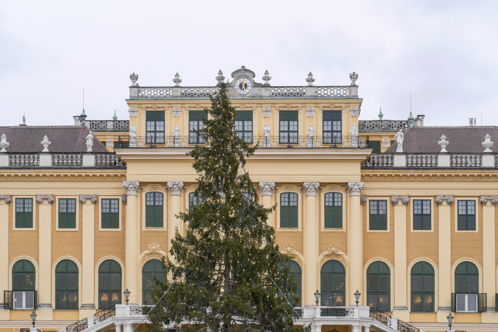 Christmas Day in Vienna {Video}
