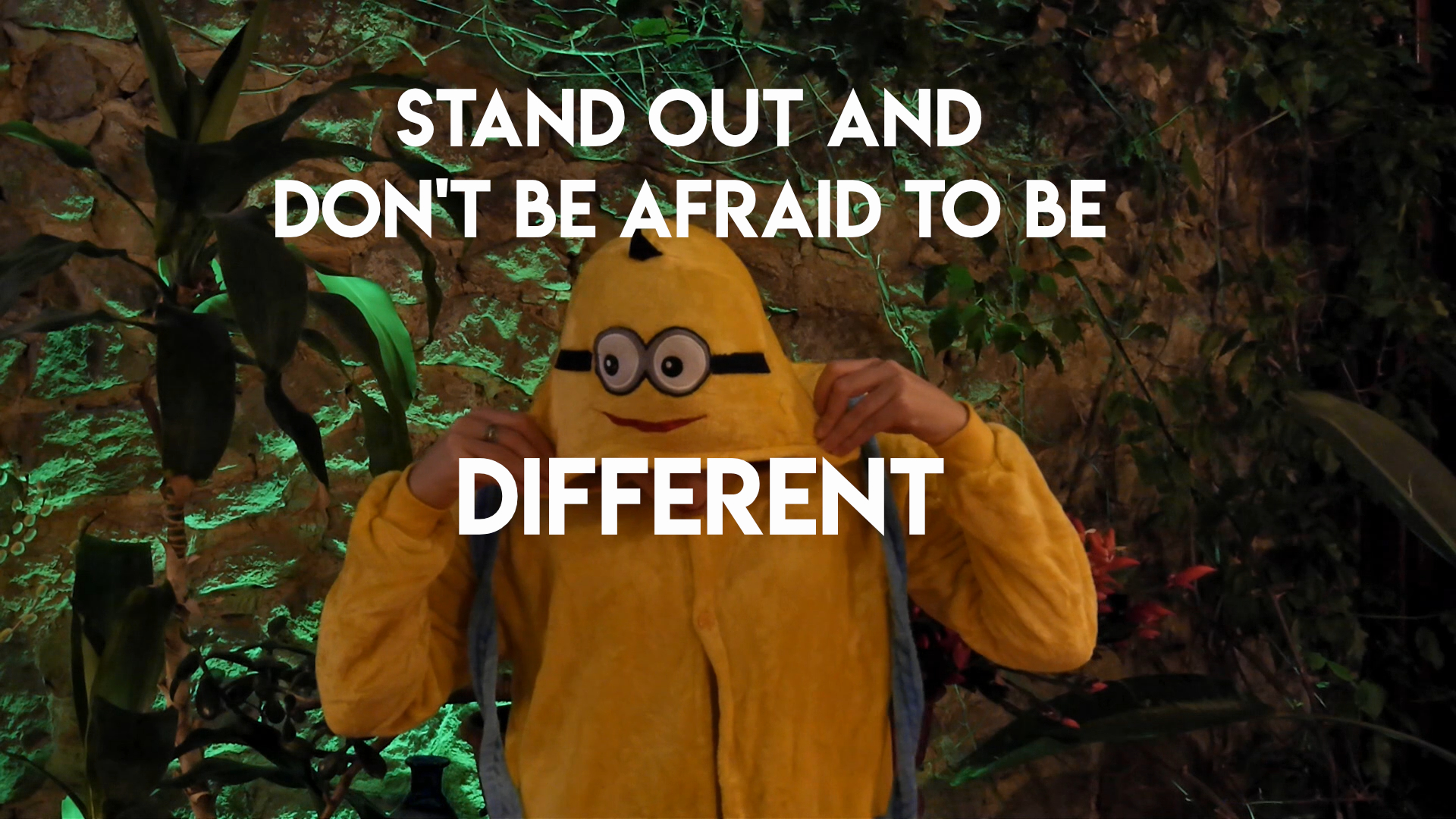 Stand out and Don’t be Afraid to be Different